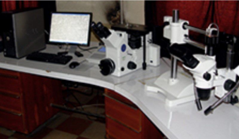 Mikroskopische Analyse von Metallen